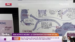 Aide active à mourir: la convention citoyenne dit oui 