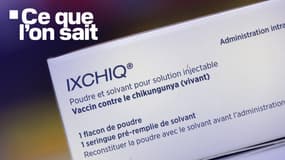 Emballage du vaccin IXCHIQ contre le chikungunya, dans une pharmacie de Saint-Denis de la Réunion le 21 mars 2025