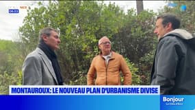 Montauroux : le nouveau plan d'urbanisme divise dans la commune