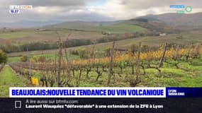 Beaujolais: la nouvelle tendance du vin volcanique