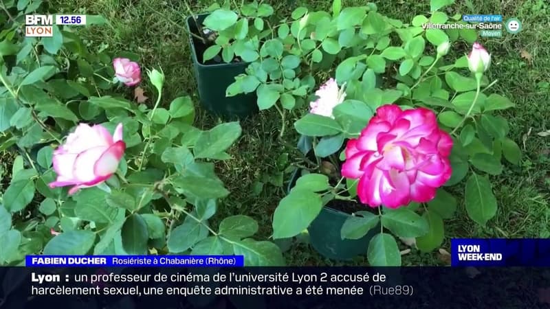 Saint-Priest: 33ème édition de la foire aux plantes ce week-end
