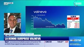 En portefeuille : La bonne surprise Valneva - 25/06