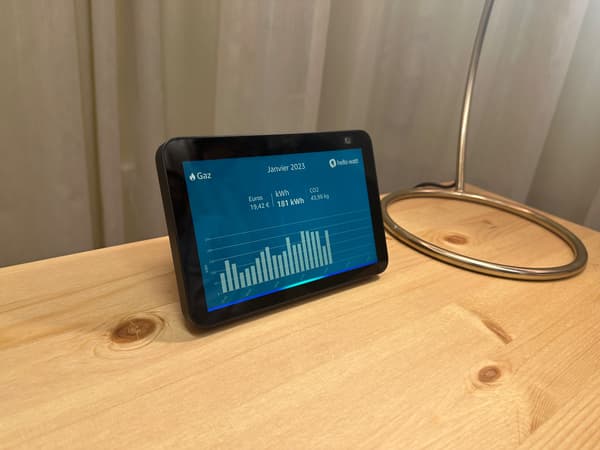 Ask Alexa and your gas usage appears on the Echo Show 5 screen