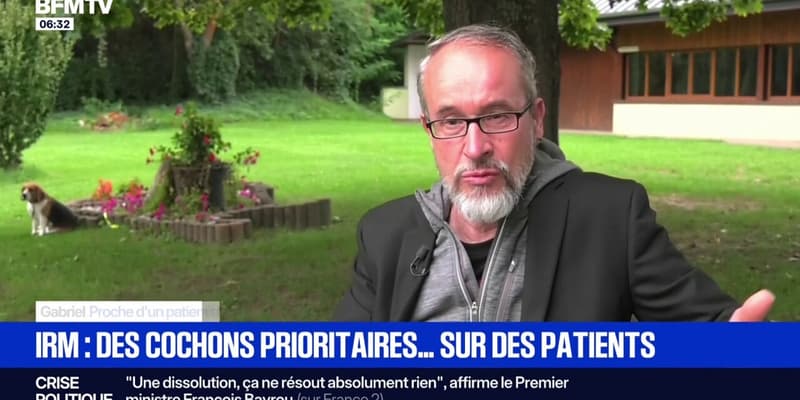 Strasbourg: des cochons prioritaires pour des IRM face à des patients cancéreux, une enquête interne ouverte