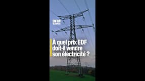 À quel prix EDF doit-il vendre son électricité ? 