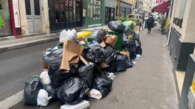 Les poubelles s'accumulent sur le trottoir de la rue Biot, dans le 17e arrondissement de Paris.