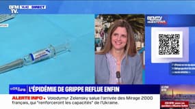 Le pic de l'épidémie de grippe est-il passé? BFMTV répond à vos questions