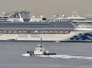 Plusieurs paquebots ont été particulièrement touchés par le coronavirus, à commencer par le Diamond Princess qui s'est retrouvé avec plus de 700 personnes malades à son bord.