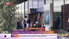 Utiliseriez-vous le train s'il était moins cher ? 