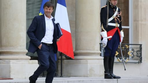 Le ministre de la Transition écologique Nicolas Hulot, le 11 octobre 2017 à l'Elysée, à Paris