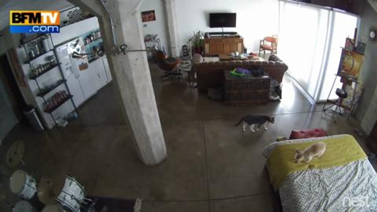 placeholder video