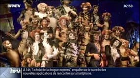 Culture Rémi: "Cats", la comédie musicale la plus jouée au monde - 14/02