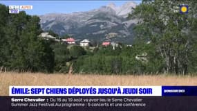 Disparition d'Émile: sept chiens déployés au Haut-Vernet