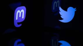 Les logos Mastodon et Twitter.