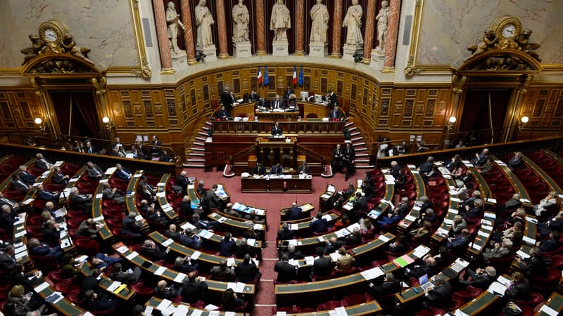 Le Sénat. (photo d'illustration)