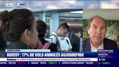 Didier Arino (Protourisme) : 17% de vols annulés aujourd'hui à Roissy - 01/07