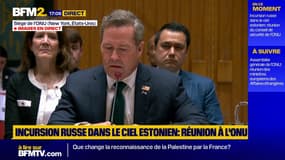 Avions russes: les États-Unis assurent qu'elles "défendront chaque centimètre carré du territoire de l'Otan"
