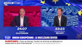 Nucléaire: Raphaël Glucksmann et François-Xavier Bellamy s'opposent sur le mix énergétique français