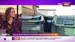 Dans les Yvelines, ces oubliés des poubelles jaunes