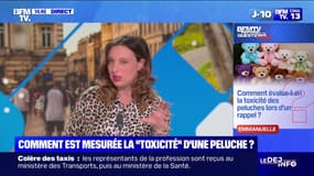 Comment évalue-t-on la "toxicité" des peluches lors d'un rappel? BFMTV répond à vos questions