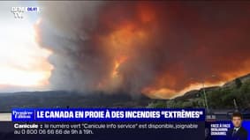 14 millions d'hectares brûlés, 170.000 évacués... Les feux "extrêmes" au Canada progressent encore