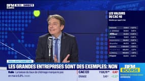 Bullshitomètre : "Les grandes entreprises sont des exemples à suivre". FAUX ! répond Aymeric Diday - 02/07