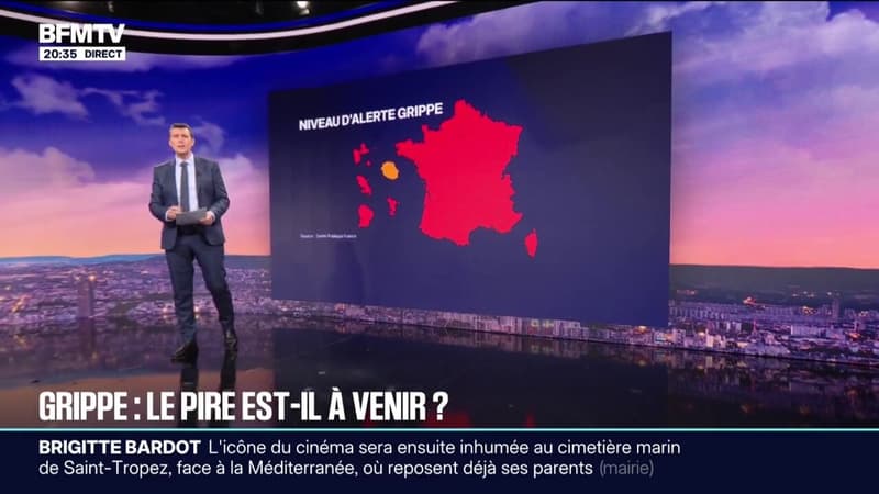 LES ÉCLAIREURS - Épidémie de grippe: le pire est-il à venir ?
