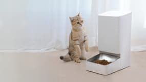 Le Xiaomi Smart Food Feeder
