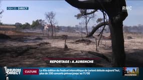 Les ravages des incendies dans le Gard