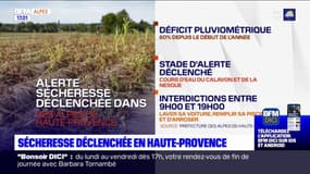 Sécheresse: le stade d’alerte déclenché pour plusieurs cours d'eau des Alpes-de-Haute-Provence