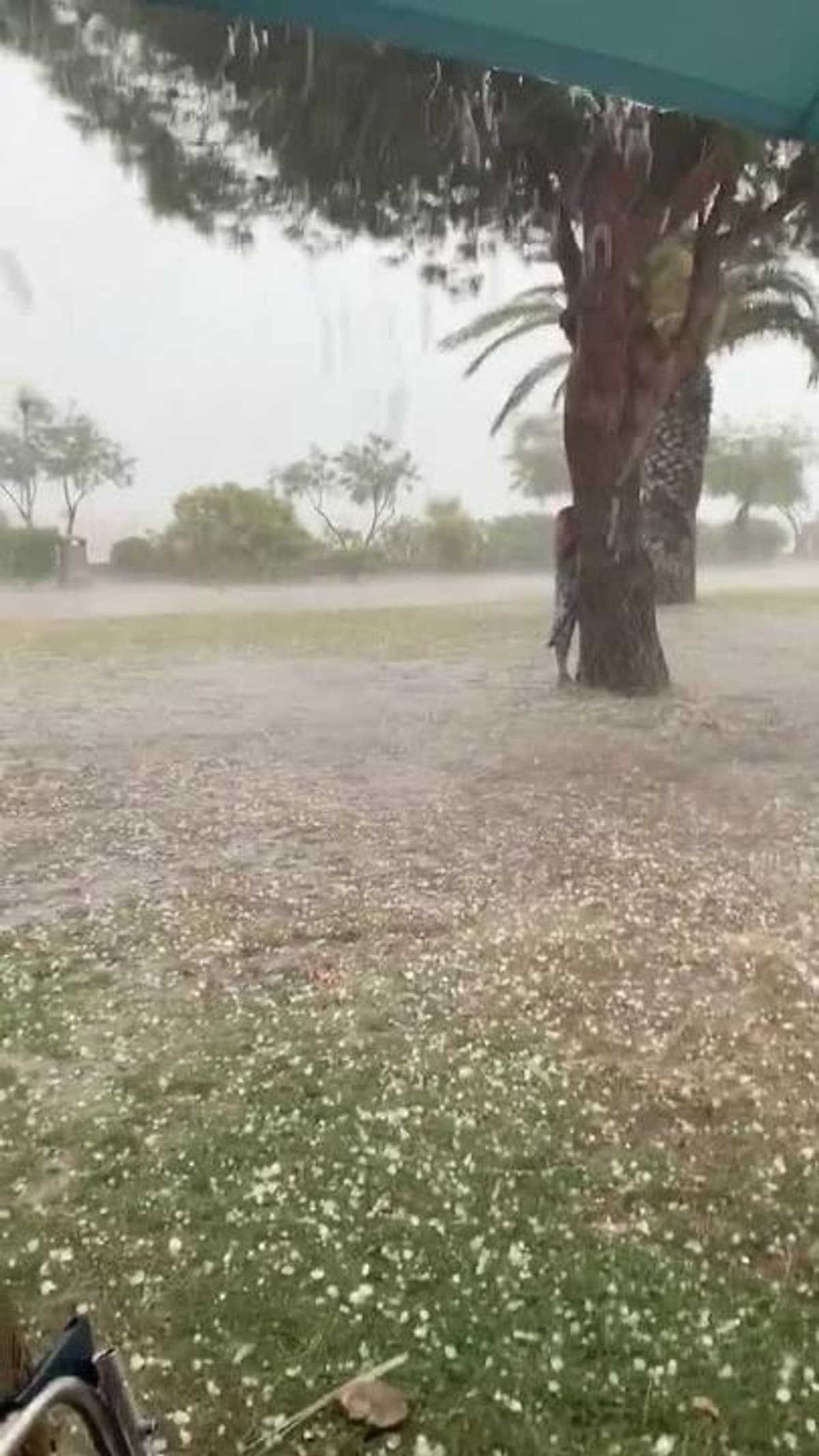 placeholder video