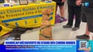 Forum vivre le handicap ensemble à Antibes : découverte du stand des chiens-guides