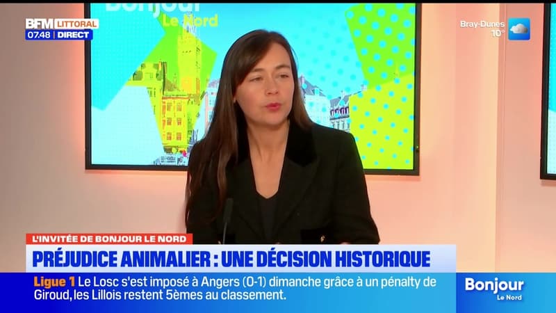 L'invitée de Bonjour Littoral du lundi 23 février 2026 - Graziella Dode