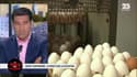 Le monde de Macron: Le point sur la situation des œufs contaminés - 10/08
