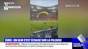 France-Allemagne: un militant de Greenpeace débarque en ULM sur la pelouse juste avant le coup d'envoi