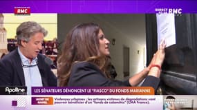 Fonds Marianne : la commission d'enquête sénatoriale évoque "un fiasco"