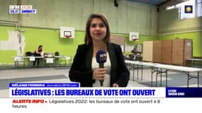 Législatives dans le Rhône: les bureaux de vote ont ouvert