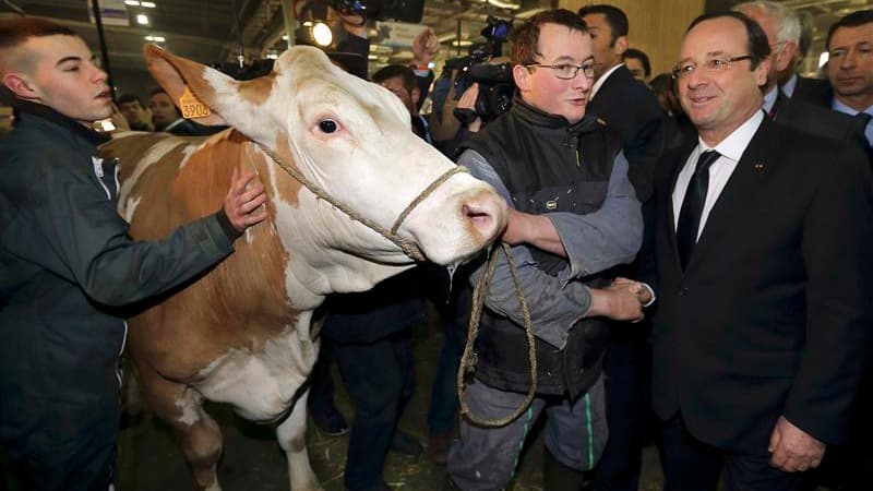 Le récent scandale de la viande de cheval a marqué samedi le passage de François Hollande au 50e Salon de l'agriculture, où le chef de l'Etat a dit vouloir redonner confiance à un monde paysan désorienté. /Photo prise le 23 février 2013/REUTERS/Philippe W