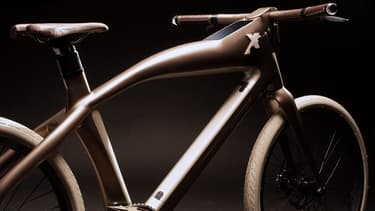 Alltricks.fr vous propose des réductions sur une large gamme de vélos électriques