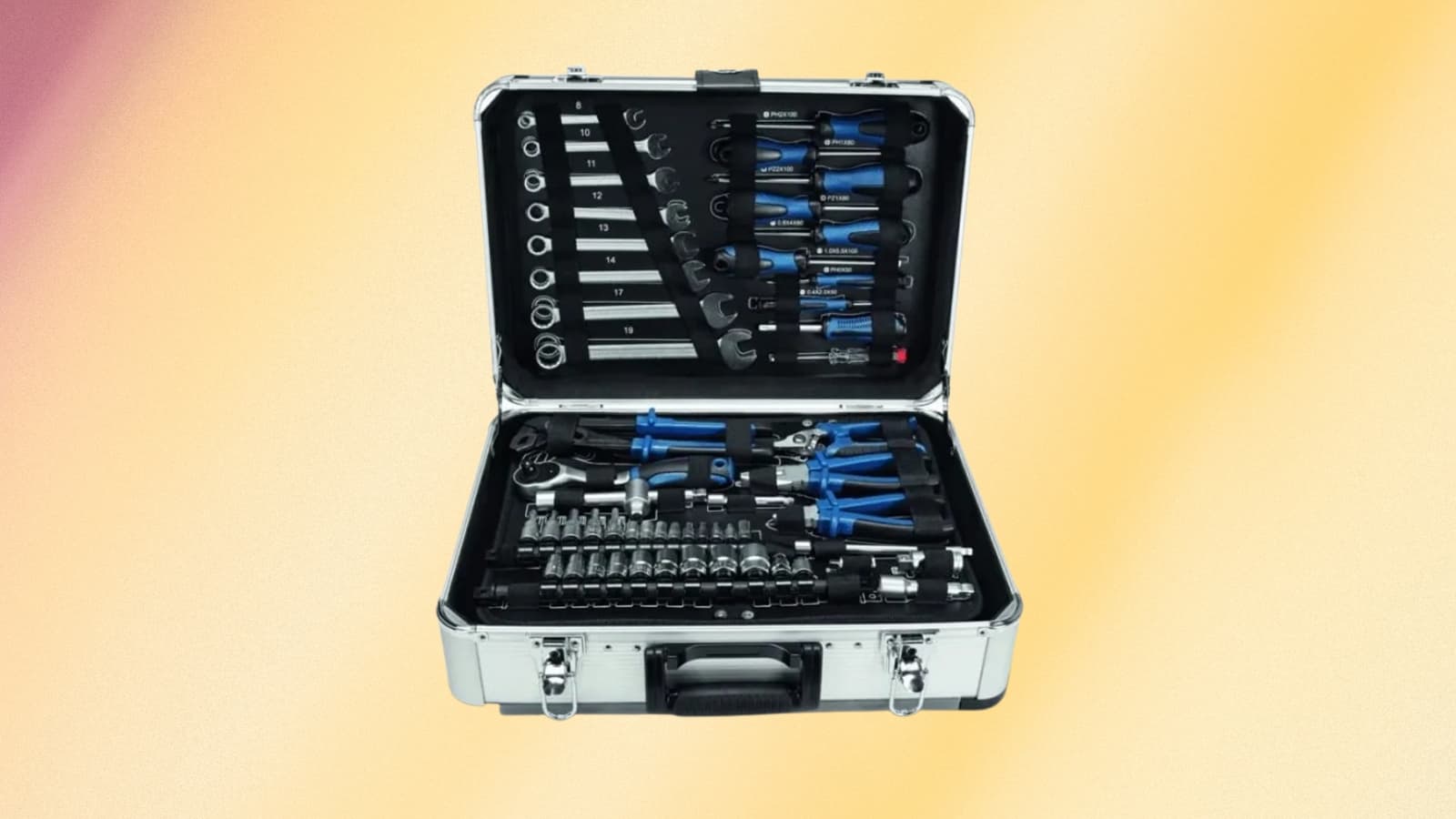 CETTE BOÎTE À OUTILS COMPLÈTE EST VENDU AU PRIX IDÉAL POUR LES PETITS BUDGETS (OFFRE À DURÉE LIMITÉE)