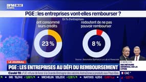 Un peu plus de 650.000 entreprises ont bénéficié d'un prêt garanti par l'Etat (PGE).