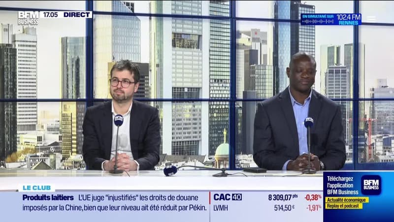 Le Club : "Morale de la semaine boursière : une mouche peut rendre fou tout un troupeau d'éléphants !" - 13/02