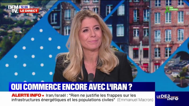 Conflit entre Israël et l'Iran: quels pays commercent encore avec Téhéran?