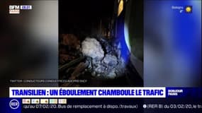 Transilien: trafic perturbé sur les lignes L et U après l'éboulement d'un talus aux abords de la station Sèvres-Ville d’Avray