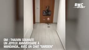 OM : Thauvin souhaite un joyeux anniversaire à Mandanda... avec un chat "gardien"