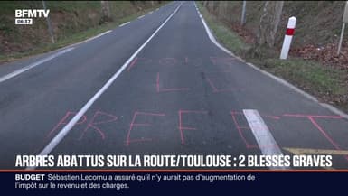 Haute-Garonne: deux blessés graves après avoir percuté des arbres volontairement abattus, une enquête ouverte pour  "violences volontaires aggravées"