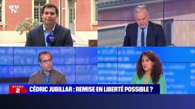 Story 2 : Remise en liberté possible pour Cédric Jubillar ? - 06/07