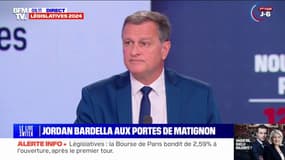 Louis Aliot (RN): "Les électeurs de droite et certains candidats de la droite 'non-ciottiste' appelleront soit à voter pour nous, soit voteront pour nous sans le claironner"