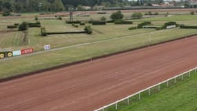 Les pronos hippiques du vendredi 1er novembre 2024
