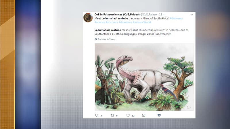 L'animal faisait approximativement douze tonnes et vivait en Afrique du Sud.